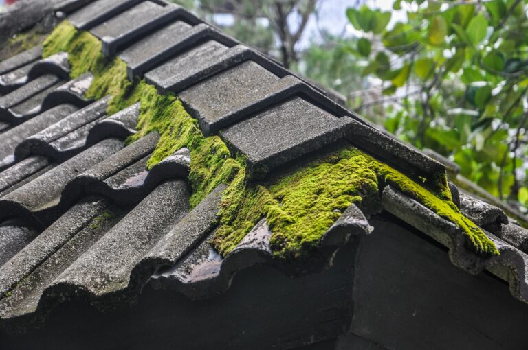 Roof cleaning Contractor London, Surrey, & Devon